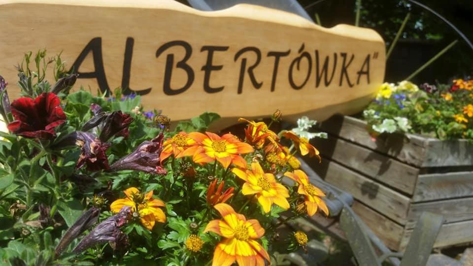 Albertowka Trzciel المظهر الخارجي الصورة